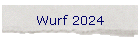 Wurf 2024