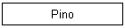 Pino